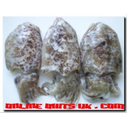 Cuttlefish Medium (3-5 per pk)
