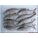 ROACH SMALL (4-5 per packet 3-6”)