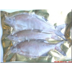 Bream Medium (3 per pk 4-6) Bream Medium (3 per pk 4-6)