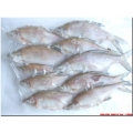Bream Bulk (8-10 per pk 4-6")