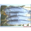 Herring Jack (3-5 per pk) Herring Jack (3-5 per pk)