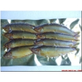 Sprats Gold (8-10 per pk) Sprats Gold (8-10 per pk)