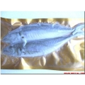 Horse Mackerel (2-4 per pk) Horse Mackerel (2-4 per pk)
