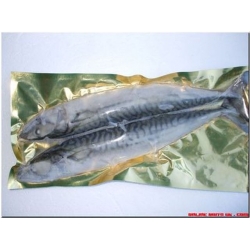 Mackerel 2's Mackerel 2's
