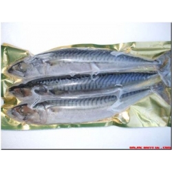 Mackerel Joeys (3 per pk) Mackerel Joeys (3 per pk)