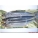 Mackerel Joeys (3 per pk)