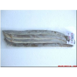 Eels Whole (4 per pk)