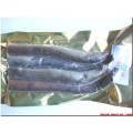 Eel Sections (4 per pk) Eel Sections (4 per pk)