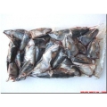 1Kg of Mackerel heads. 1Kg of Mackerel heads.