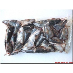 1Kg of Mackerel heads.