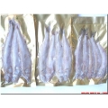 Smelts
