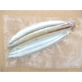 snake launce 4-5 per pk