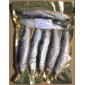 Pollan Bulk (6-9 per packet)
