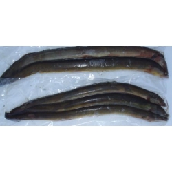 Eel Bulk 8-9 per packet Eel Bulk 8-9 per packet