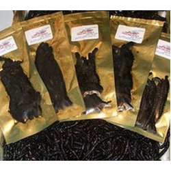 OILED fresh Blacks 6-8"  (10 per pk)