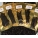 OILED fresh Blacks 6-8" (10 per pk)