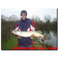 Pike Baits