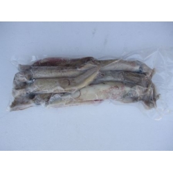 apx 1lb of UNWASHED LOLIGO Squid