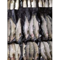 Salmon Parr (3-4 ppk)