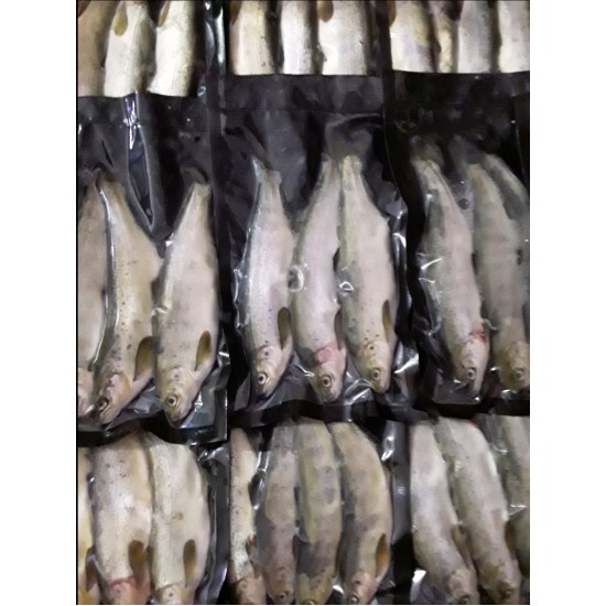 Salmon Parr (3-4 ppk)