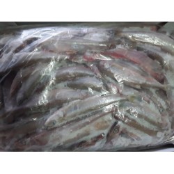 Smelts Bulk 3kilo