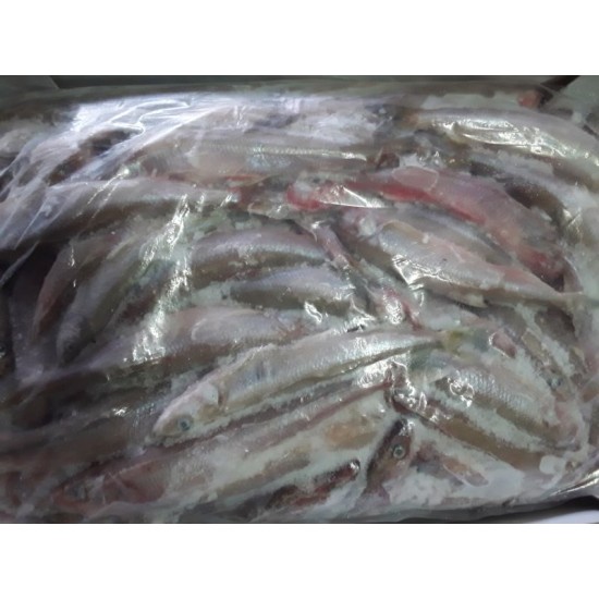 Smelts Bulk 3kilo
