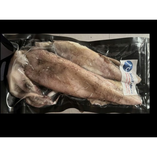 Squid Illex Dirty 270-320 gms