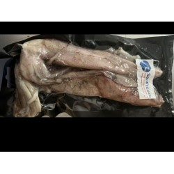 Squid Illex Dirty 270-320 gms