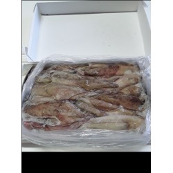 Squid Illex Unwashed 5kilo Box