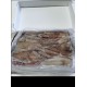 Squid Illex Unwashed 5kilo Box