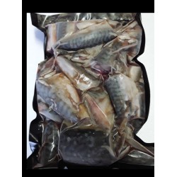 Mackerel chop/chum