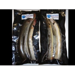 Eel Sections Chunky 2-3s