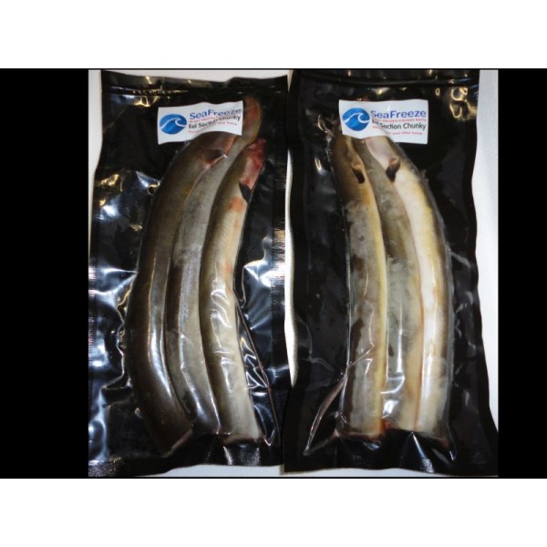 Eel Sections Chunky 2-3s