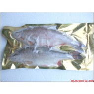 Roach XL (1-2 per packet 9-12”)