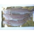 Trout