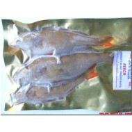 Perch Large  (2 per pk)