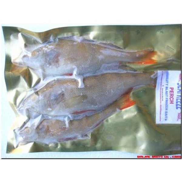 Perch medium (2-4 per pk)