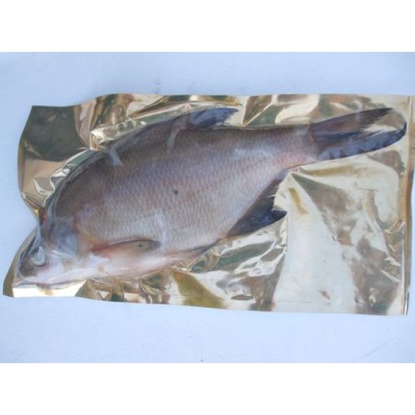 Bream XL 1 per packet (over 11 inches in length)