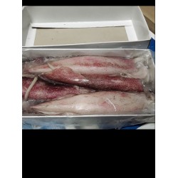 Squid Unwashed Loligo 450 gms approx ( loligo duvauceli )