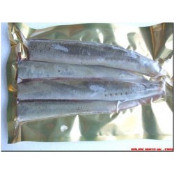 Lamprey Sections 4ppk