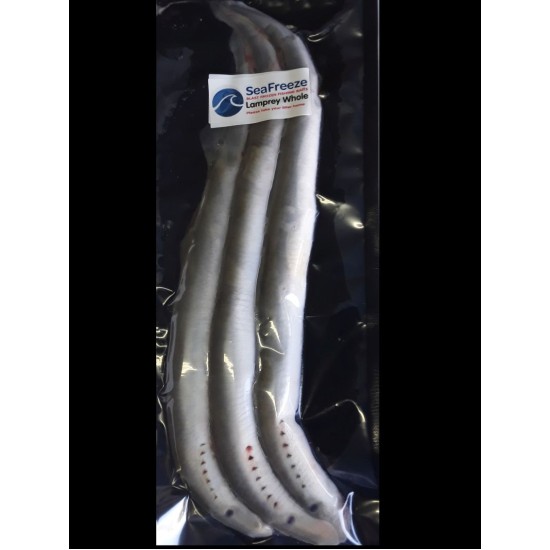 Lamprey whole 3-4 ppk