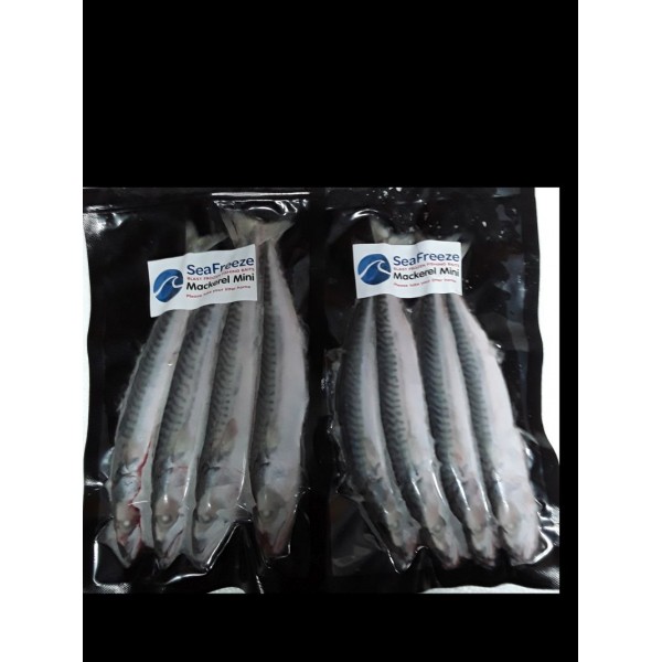 Mackerel Mini 3-4 per pk