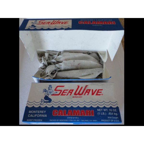 Squid (1lb Box Californian loligo)