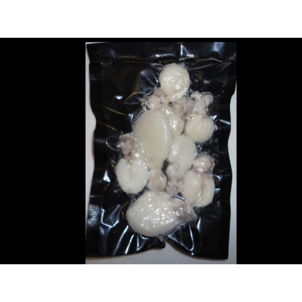 Cuttlefish Baby (8-10 per pk)