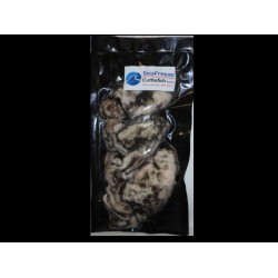 Cuttlefish Medium 2-4 per pack