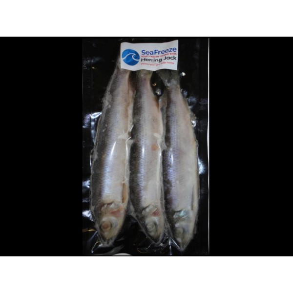 Herring Jack (3-5 per pk)