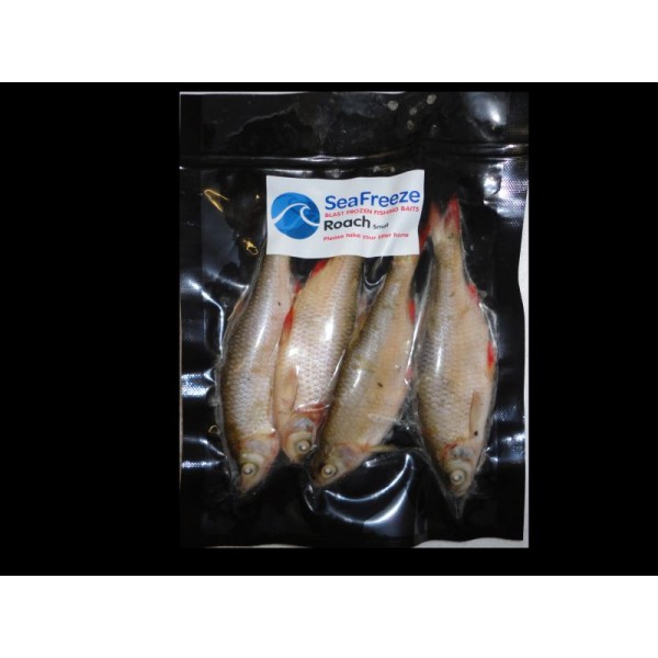Roach small (4-5 per packet 3-5”)