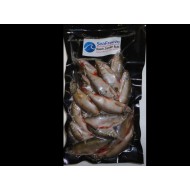 Roach zander Bulk Pack (15-20 per packet 2-3 inches)