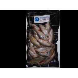 Roach zander Bulk Pack (15-20 per packet 2-3 inches)
