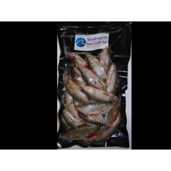 Roach zander Bulk Pack (15-20 per packet 2-3 inches)